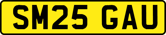 SM25GAU
