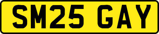 SM25GAY