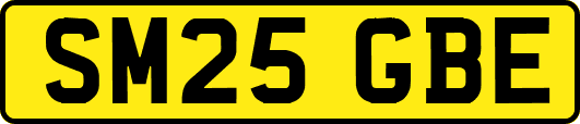 SM25GBE