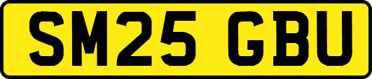 SM25GBU