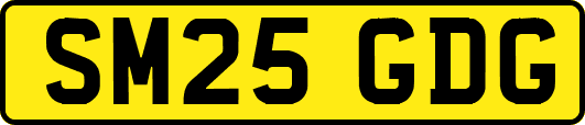 SM25GDG