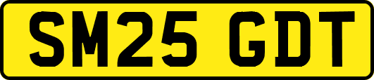 SM25GDT
