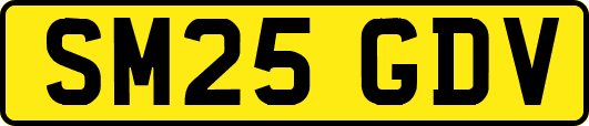 SM25GDV