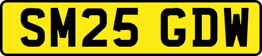 SM25GDW
