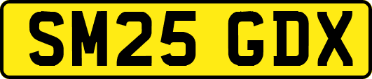 SM25GDX
