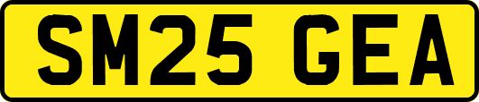 SM25GEA