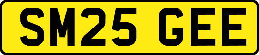 SM25GEE