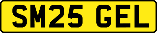 SM25GEL