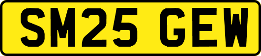 SM25GEW