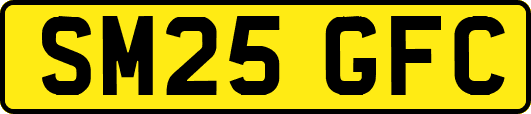 SM25GFC