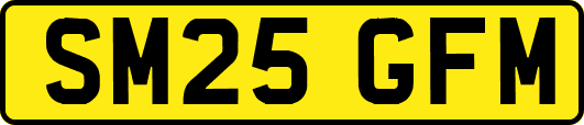 SM25GFM