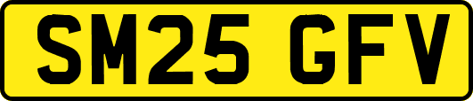 SM25GFV