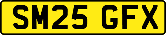 SM25GFX