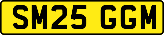 SM25GGM