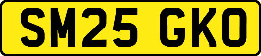 SM25GKO