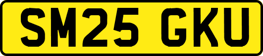 SM25GKU