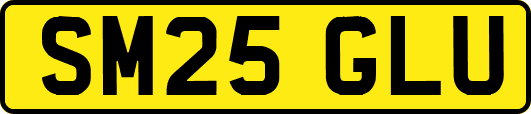 SM25GLU