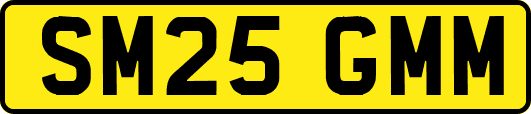 SM25GMM