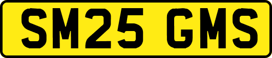 SM25GMS