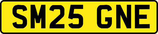 SM25GNE