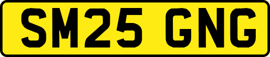 SM25GNG