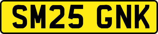 SM25GNK