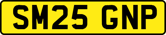 SM25GNP