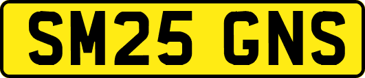 SM25GNS