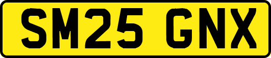 SM25GNX