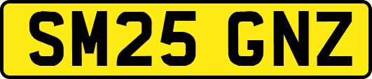 SM25GNZ