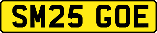 SM25GOE