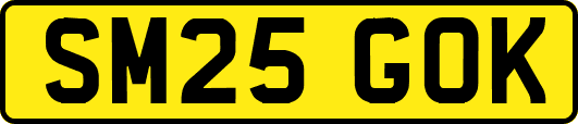 SM25GOK