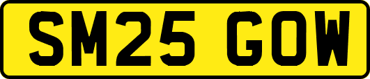 SM25GOW