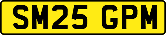SM25GPM