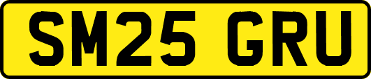 SM25GRU
