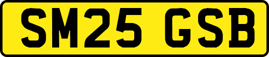 SM25GSB