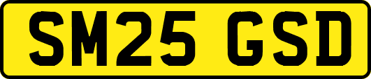 SM25GSD