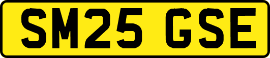 SM25GSE