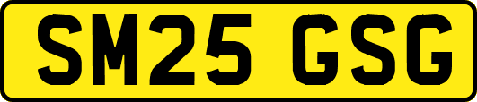 SM25GSG