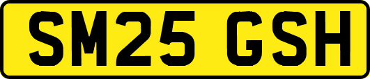 SM25GSH
