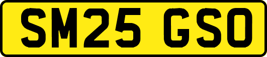 SM25GSO