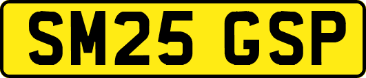 SM25GSP