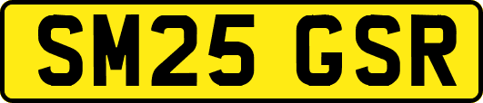 SM25GSR