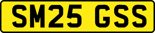 SM25GSS