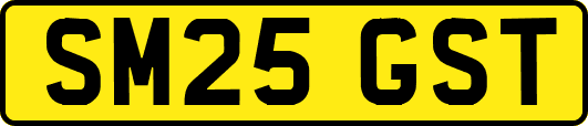SM25GST
