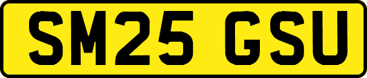 SM25GSU