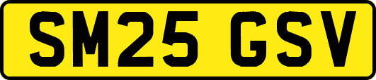 SM25GSV