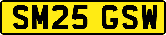 SM25GSW