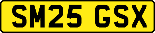 SM25GSX