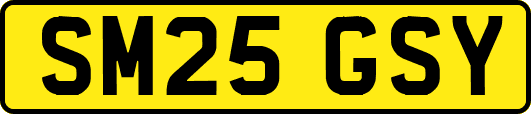 SM25GSY